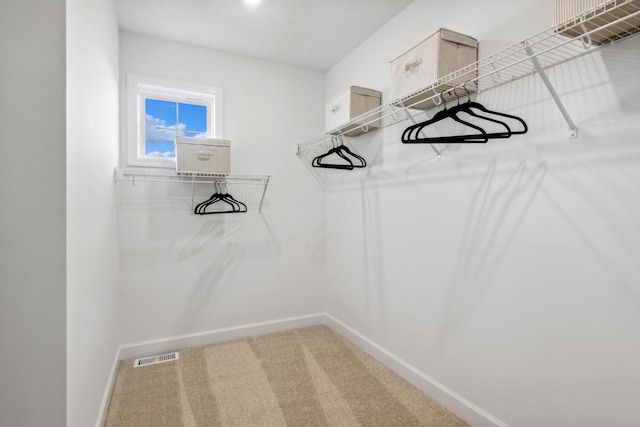 walk in closet with visible vents and carpet