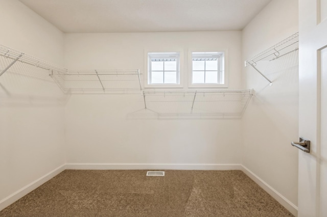 spacious closet with carpet