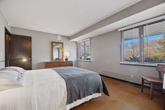 bedroom with baseboards and carpet floors