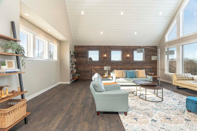 771 Zumbro Oaks Ln NW, Oronoco, MN 55960 - living room featuring a healthy amount of sunlight, wooden walls, and lofted ceiling