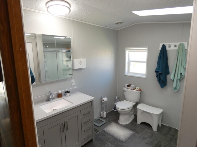bathroom featuring vanity, a shower with shower door, a textured ceiling, and toilet