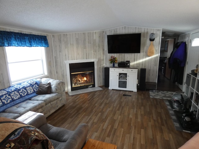 living room with dark hardwood / wood-style floors, vaulted ceiling, and a textured ceiling