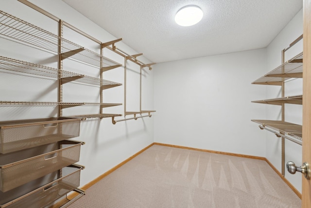 spacious closet with carpet floors