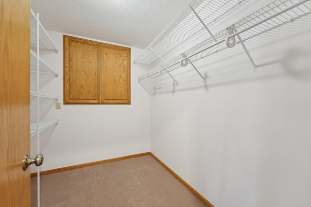 spacious closet with carpet flooring