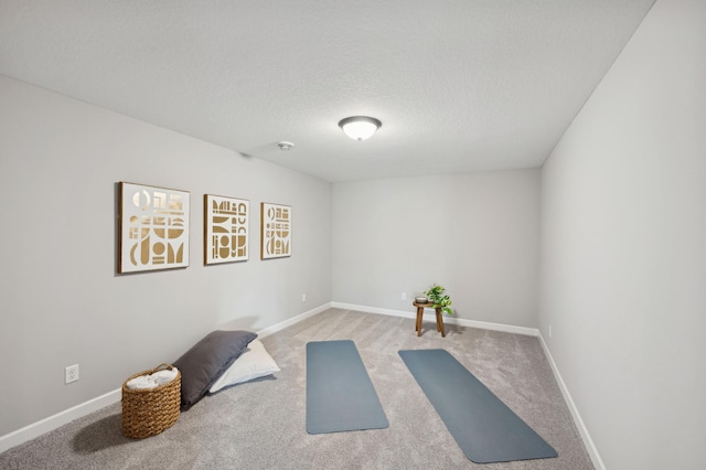 exercise area with light colored carpet and a textured ceiling