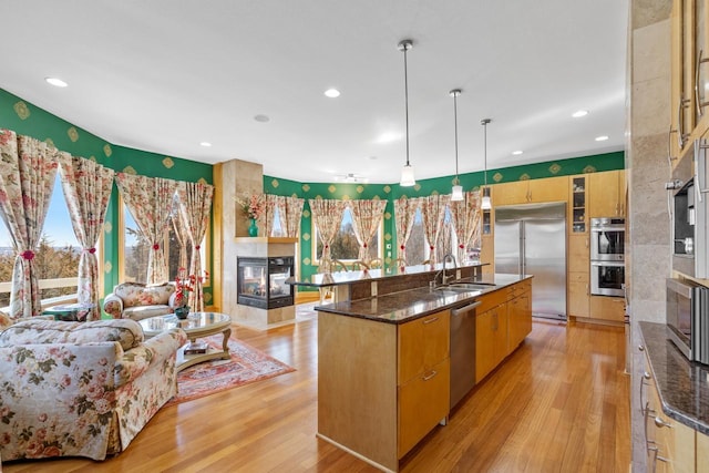 kitchen featuring light wood finished floors, stainless steel appliances, a sink, and a multi sided fireplace