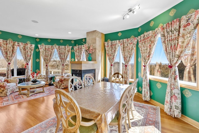 dining space with baseboards, wood finished floors, a healthy amount of sunlight, and a large fireplace