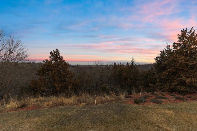 view of nature at dusk