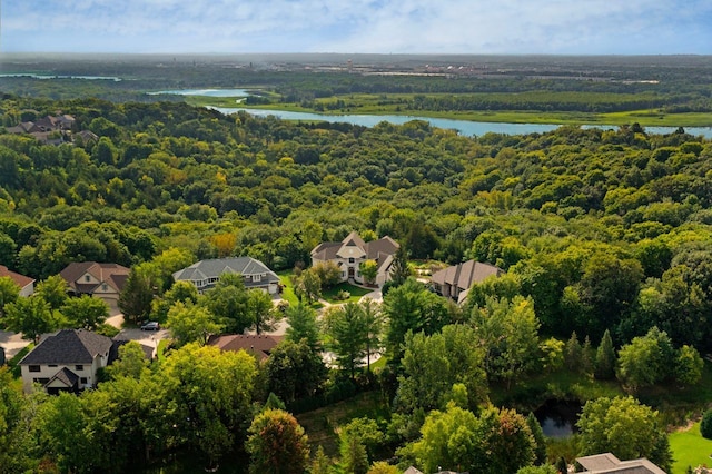 19115 Vogel Farm Trl, Eden Prairie, MN 55347 - aerial view of residential area with a forest and a large body of water