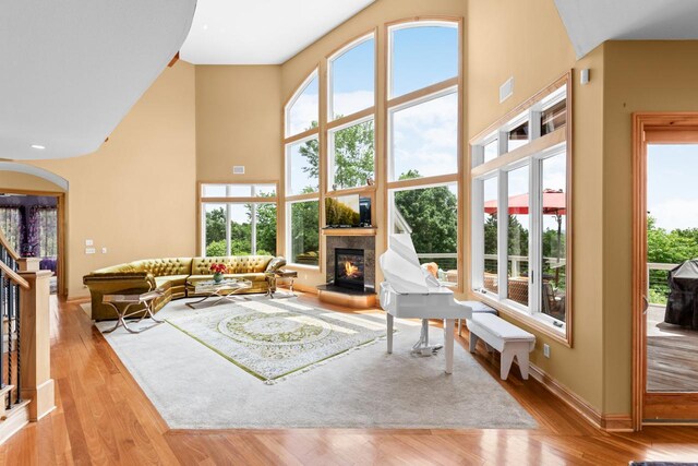 19115 Vogel Farm Trl, Eden Prairie, MN 55347 - living room with a glass covered fireplace, a towering ceiling, light wood-style flooring, plenty of natural light, and arched walkways
