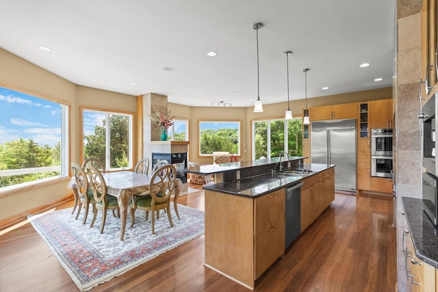 19115 Vogel Farm Trl, Eden Prairie, MN 55347 - kitchen featuring stainless steel appliances, healthy amount of natural light, a fireplace, a kitchen island with sink, and recessed lighting