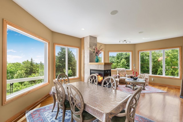 19115 Vogel Farm Trl, Eden Prairie, MN 55347 - dining room with healthy amount of natural light, a fireplace, and wood finished floors