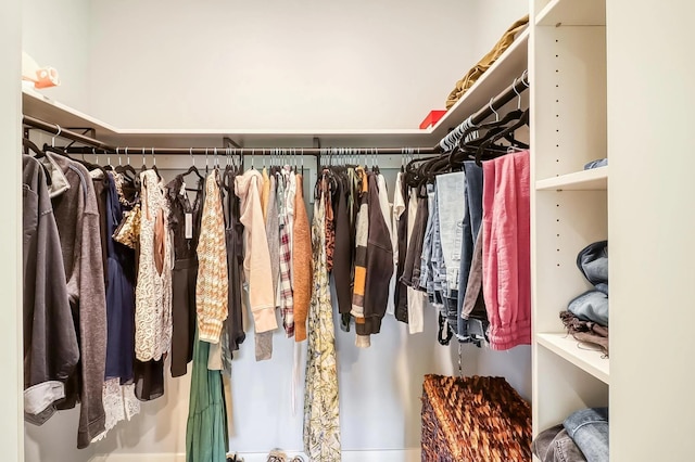 view of spacious closet