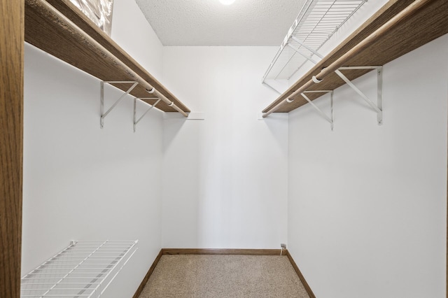 walk in closet with carpet floors