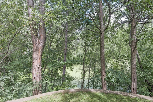 view of nature featuring a forest view