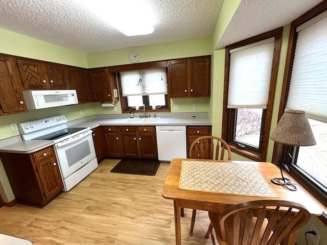 kitchen with light wood-type flooring, light countertops, white appliances, a textured ceiling, and a sink