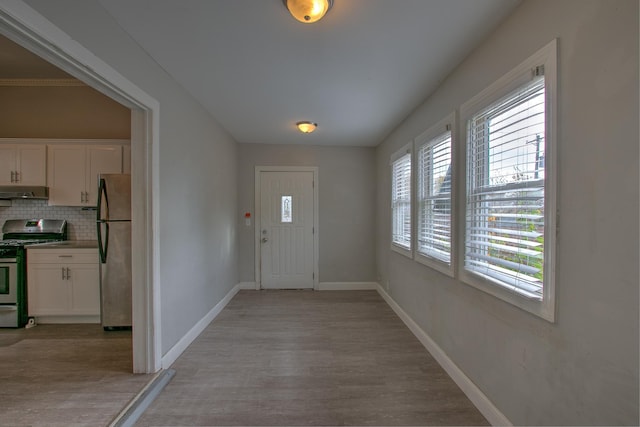 foyer entrance featuring light hardwood / wood-style flooring