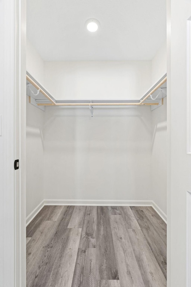 spacious closet featuring light wood-type flooring