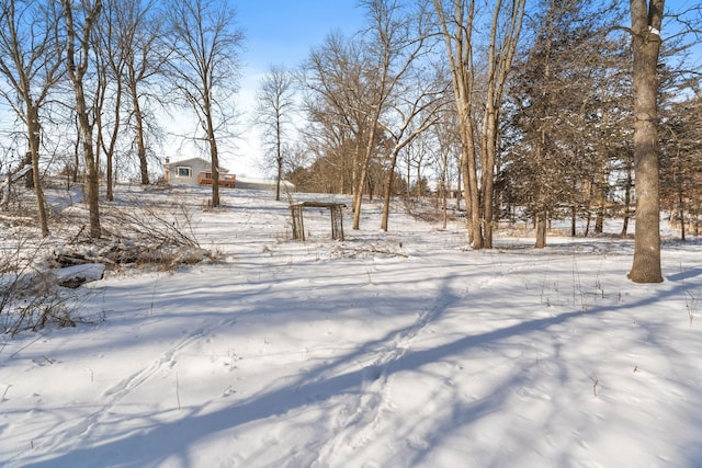 view of yard covered in snow