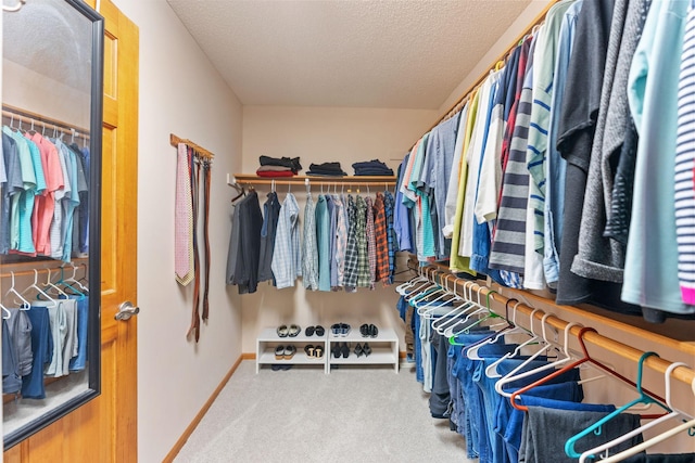 spacious closet featuring carpet