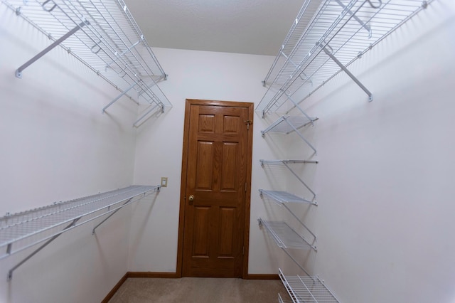 walk in closet featuring carpet flooring