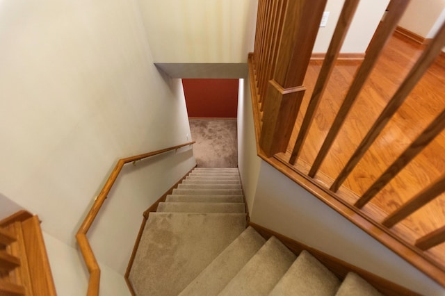 stairway with carpet flooring