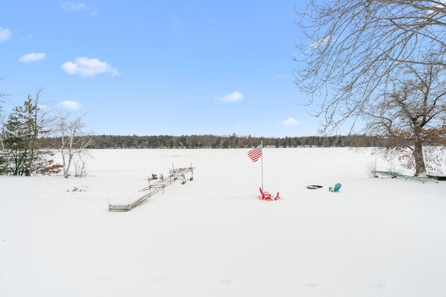 view of yard layered in snow