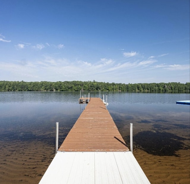 dock area featuring a water view and a forest view