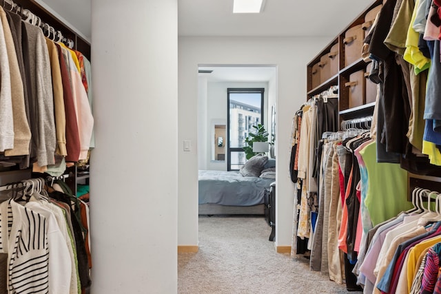 1240 2nd St Unit 704, Minneapolis, MN 55415 - spacious closet with carpet