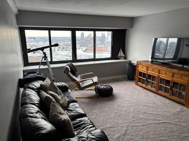 living room with plenty of natural light, light colored carpet, and a textured ceiling