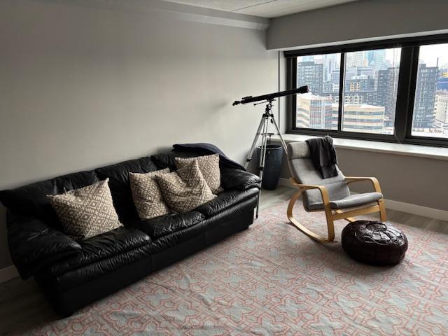 living room with light hardwood / wood-style floors