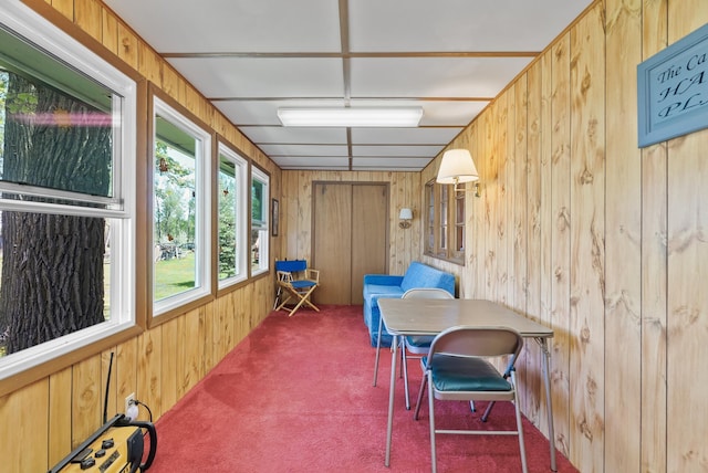 sunroom / solarium featuring wooden walls and carpet