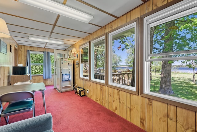 sunroom featuring wooden walls and carpet