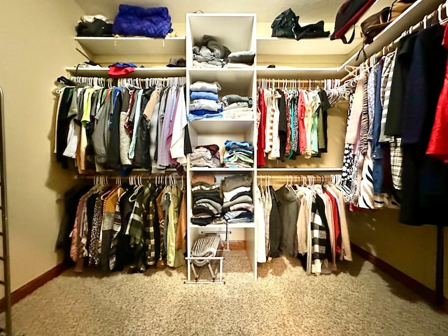 spacious closet featuring carpet