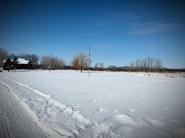 view of yard layered in snow