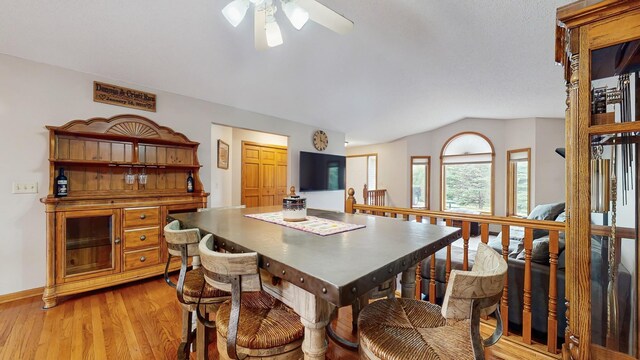 7335 Woodland Trl, Greenfield, MN 55373 - photo 8