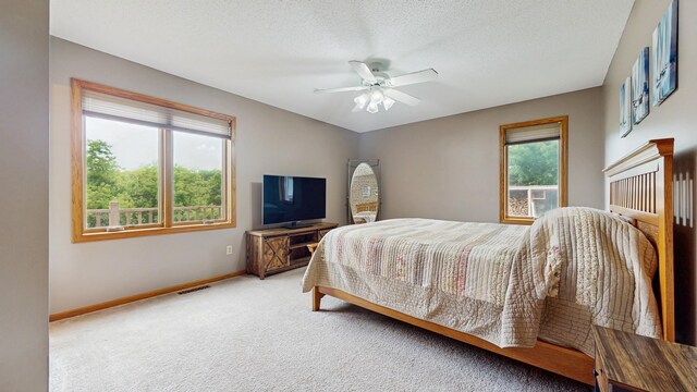 7335 Woodland Trl, Greenfield, MN 55373 - photo 21