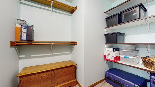 7335 Woodland Trl, Greenfield, MN 55373 - photo 23