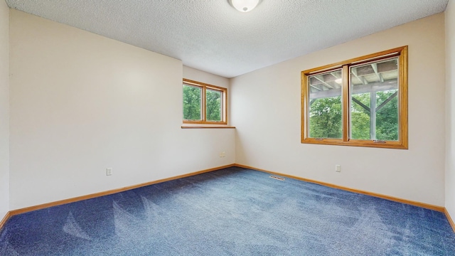 7335 Woodland Trl, Greenfield, MN 55373 - photo 31