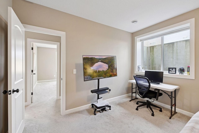 office featuring baseboards and carpet flooring