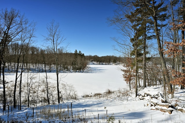 view of snowy yard