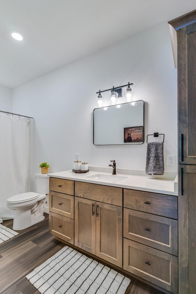 2568 28 1/4 St, Cedar Lake Twp, WI 54817 - full bathroom featuring toilet, vanity, and wood finished floors