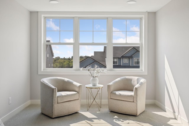 living area featuring light colored carpet