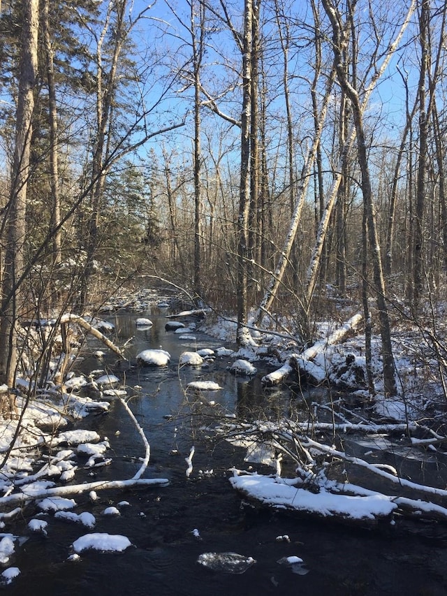 view of local wilderness with a forest view