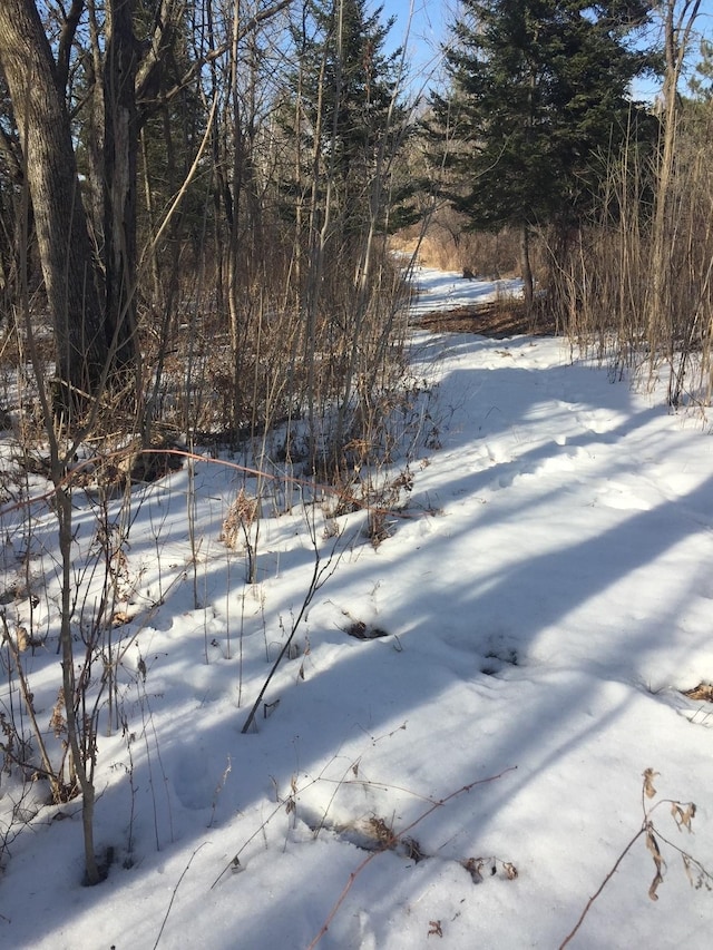 view of yard covered in snow