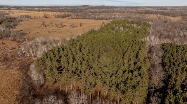 birds eye view of property featuring a wooded view