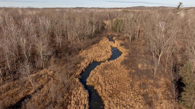 bird's eye view with a view of trees