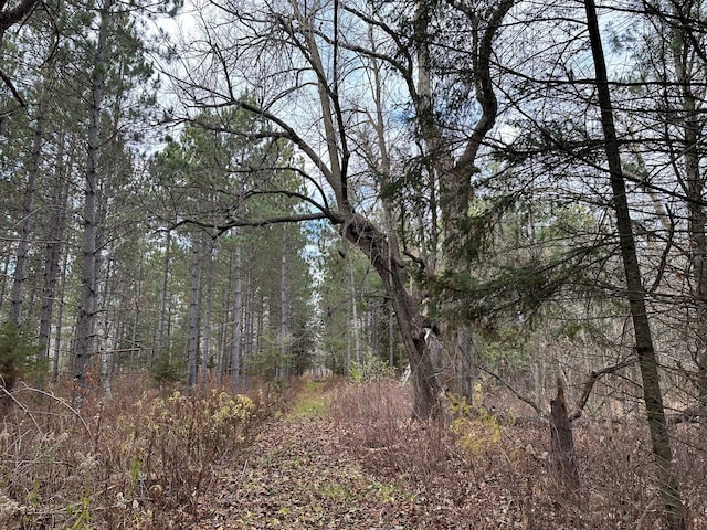 view of local wilderness with a wooded view