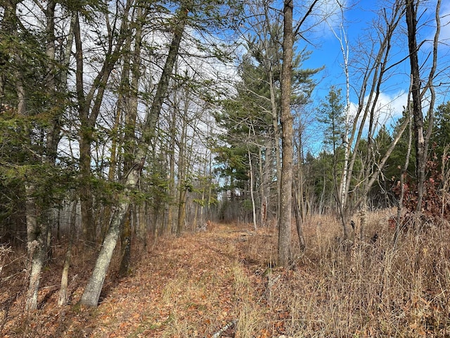 view of local wilderness with a view of trees