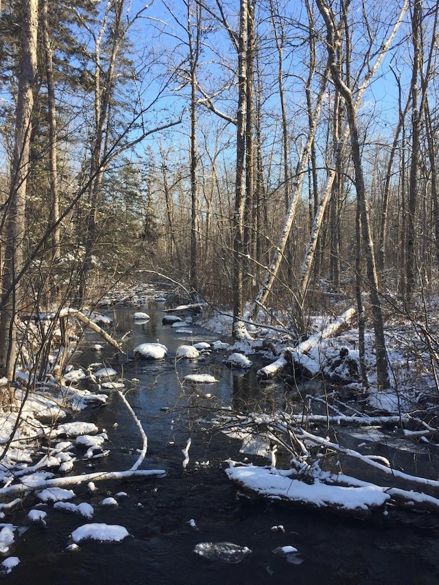 3324 52nd St SW, Pequot Lakes, MN 56472 - view of undeveloped land
